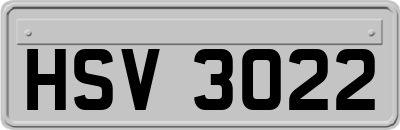 HSV3022