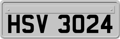 HSV3024