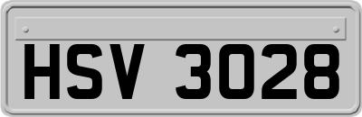 HSV3028