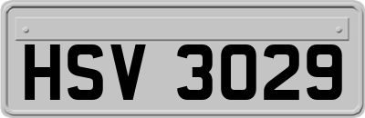 HSV3029