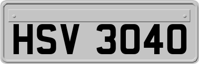 HSV3040