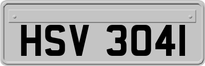 HSV3041