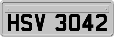 HSV3042