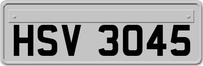 HSV3045