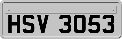 HSV3053