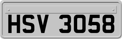 HSV3058
