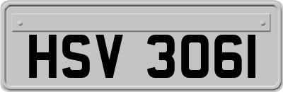 HSV3061