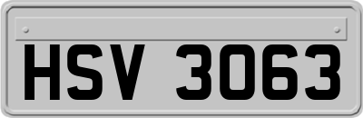 HSV3063