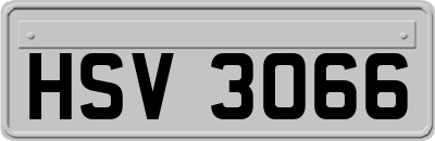 HSV3066
