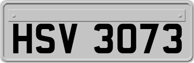 HSV3073