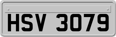 HSV3079