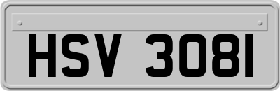 HSV3081