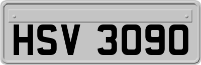 HSV3090