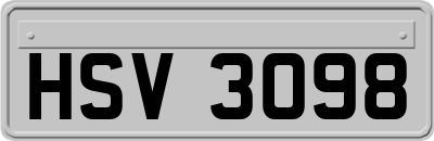 HSV3098