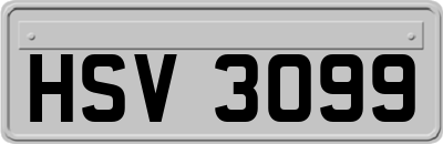 HSV3099