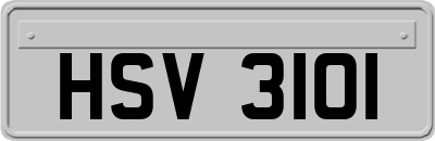 HSV3101