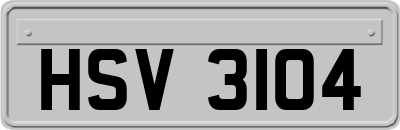 HSV3104