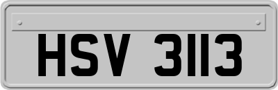 HSV3113