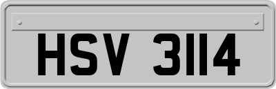 HSV3114