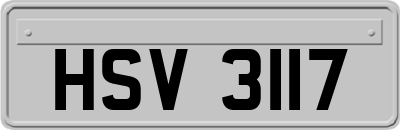 HSV3117