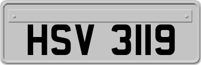 HSV3119