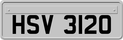 HSV3120
