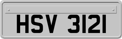 HSV3121