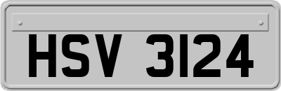 HSV3124