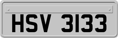 HSV3133