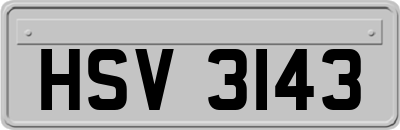 HSV3143