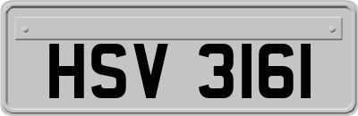 HSV3161