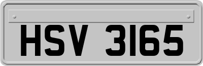 HSV3165