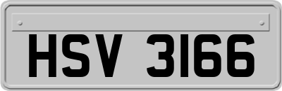 HSV3166