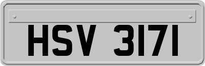 HSV3171