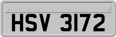 HSV3172