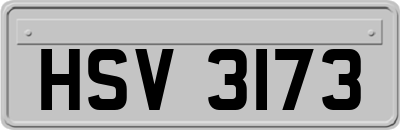 HSV3173
