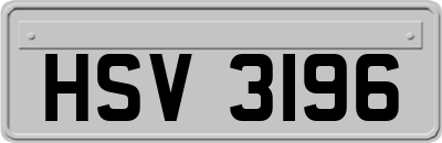 HSV3196