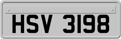 HSV3198