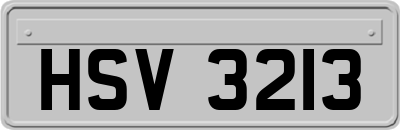 HSV3213