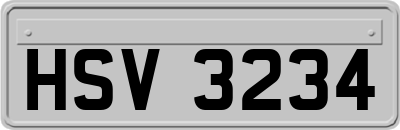 HSV3234