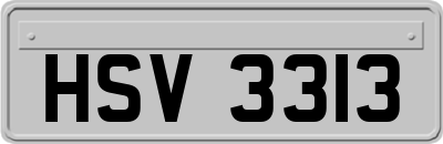 HSV3313