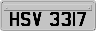 HSV3317