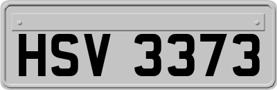HSV3373