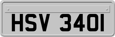 HSV3401