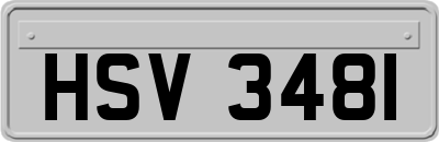HSV3481