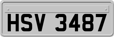 HSV3487