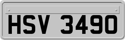 HSV3490