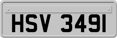 HSV3491