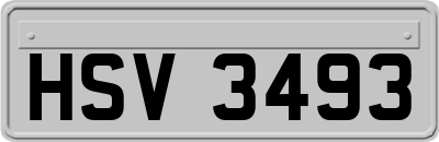 HSV3493