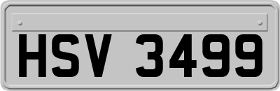 HSV3499